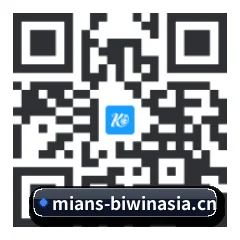 系统版 iOS 二维码